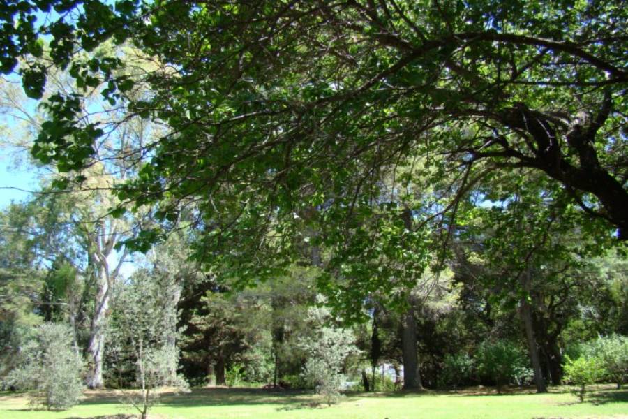 San Javier,Córdoba,Argentina,6 Habitaciones Habitaciones,5 BañosBaños,Chacras-Quintas,1360